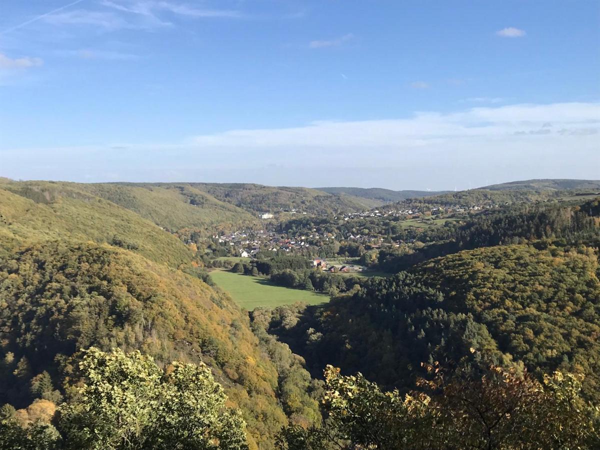 Villa Holgenbach - Penthouse- Und Ferienwohnung Im Nationalpark Eifel Schleiden Extérieur photo