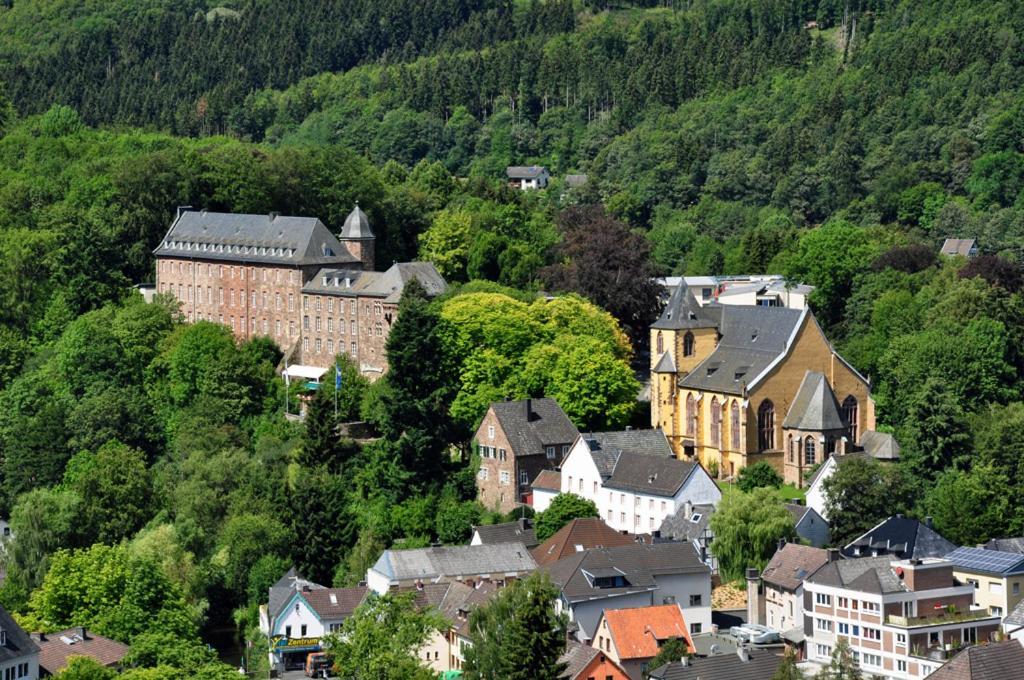 Villa Holgenbach - Penthouse- Und Ferienwohnung Im Nationalpark Eifel Schleiden Extérieur photo
