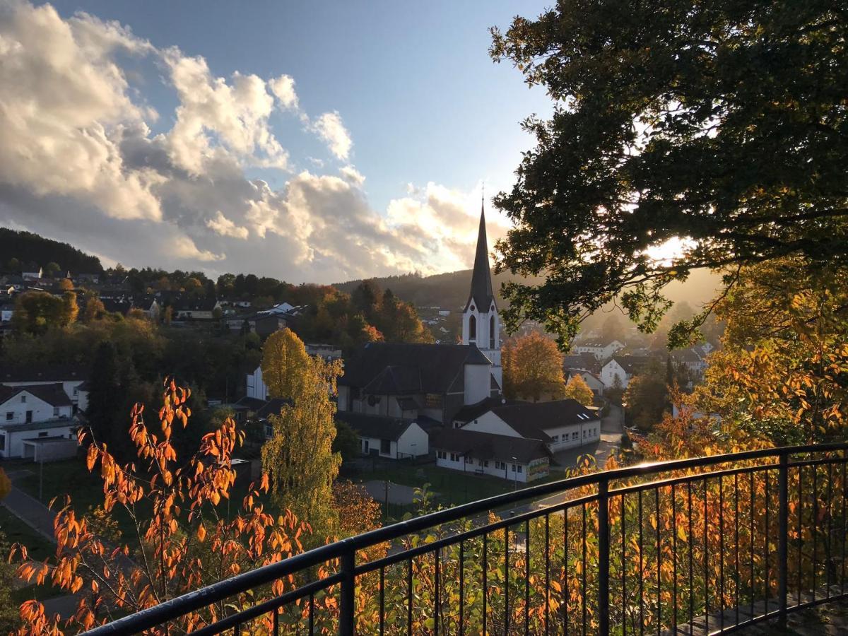 Villa Holgenbach - Penthouse- Und Ferienwohnung Im Nationalpark Eifel Schleiden Extérieur photo