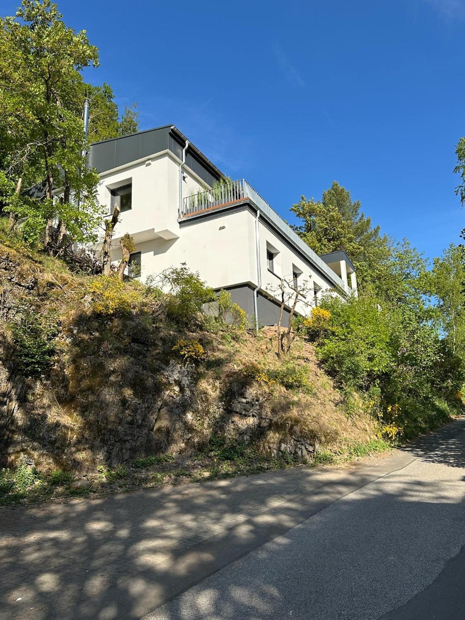 Villa Holgenbach - Penthouse- Und Ferienwohnung Im Nationalpark Eifel Schleiden Extérieur photo