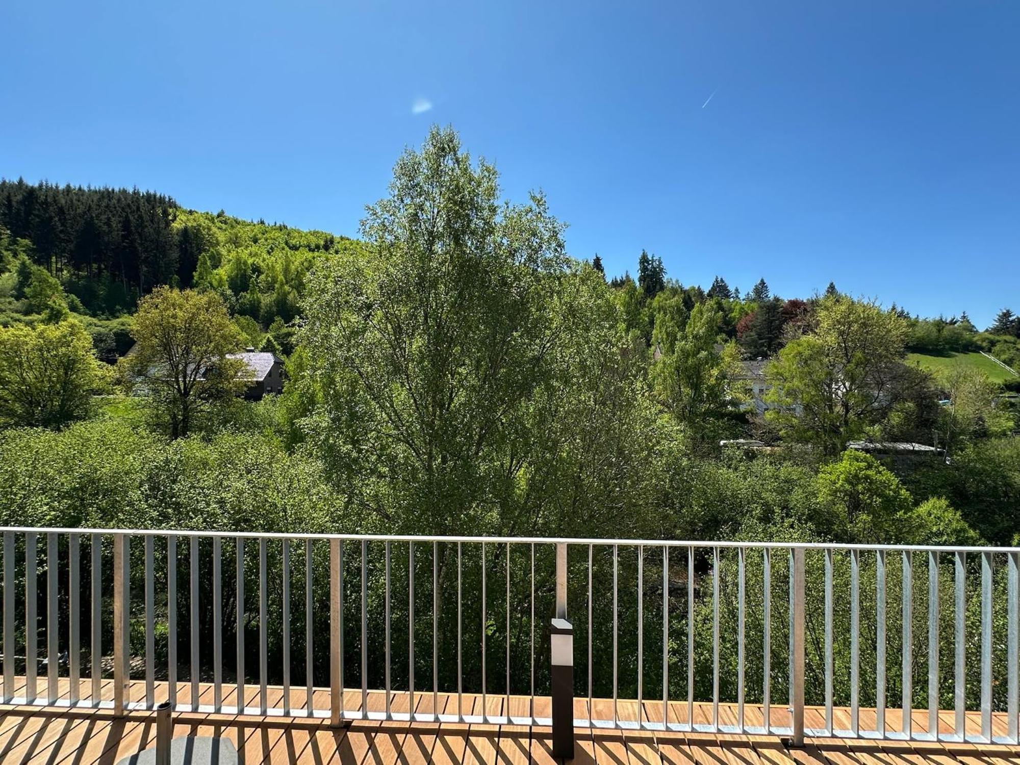 Villa Holgenbach - Penthouse- Und Ferienwohnung Im Nationalpark Eifel Schleiden Extérieur photo