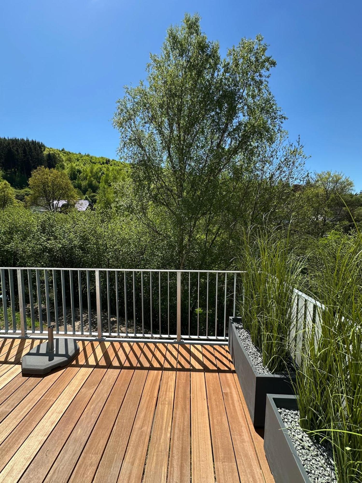 Villa Holgenbach - Penthouse- Und Ferienwohnung Im Nationalpark Eifel Schleiden Extérieur photo